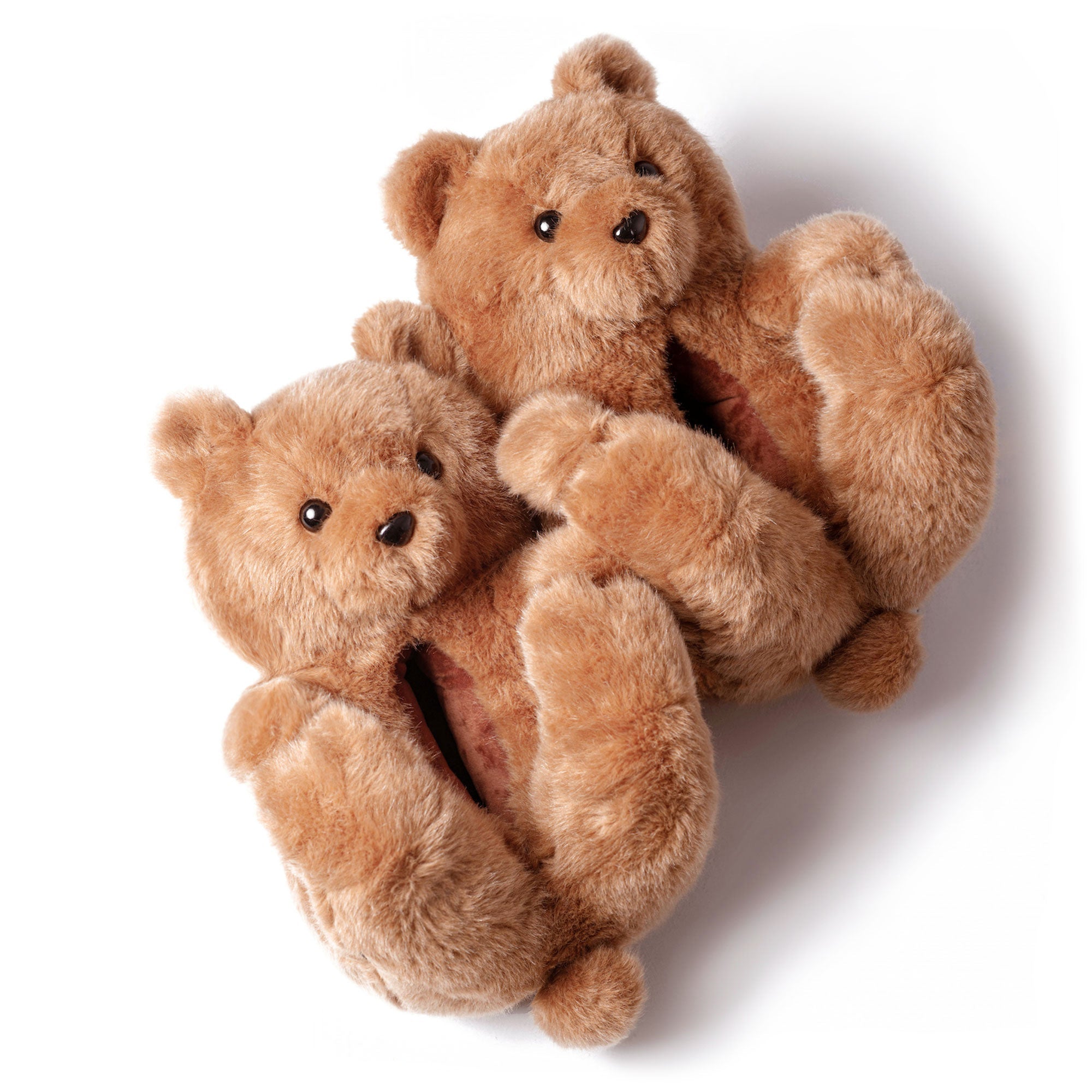 Original Brown Teddy