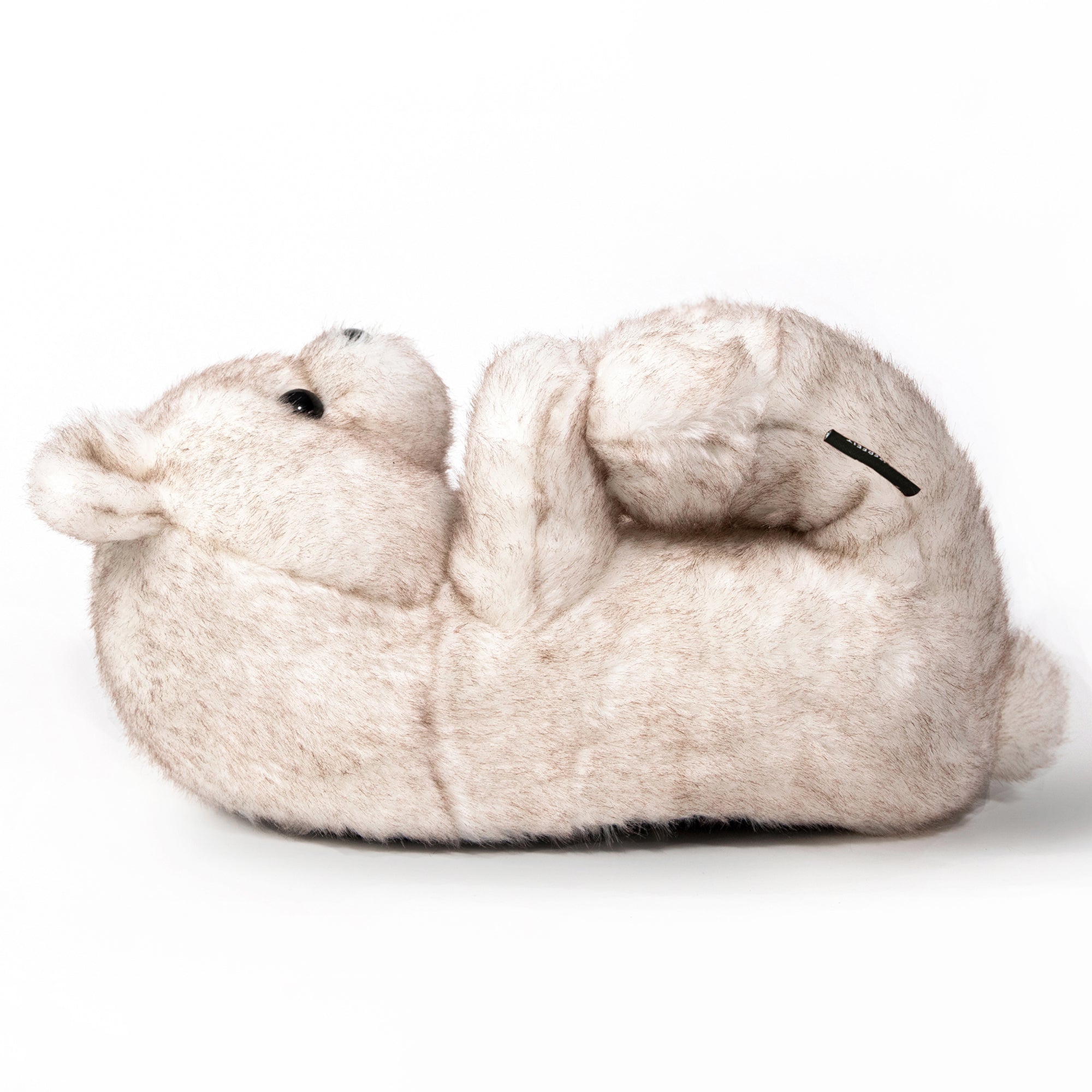 Ashy Arctic Teddy