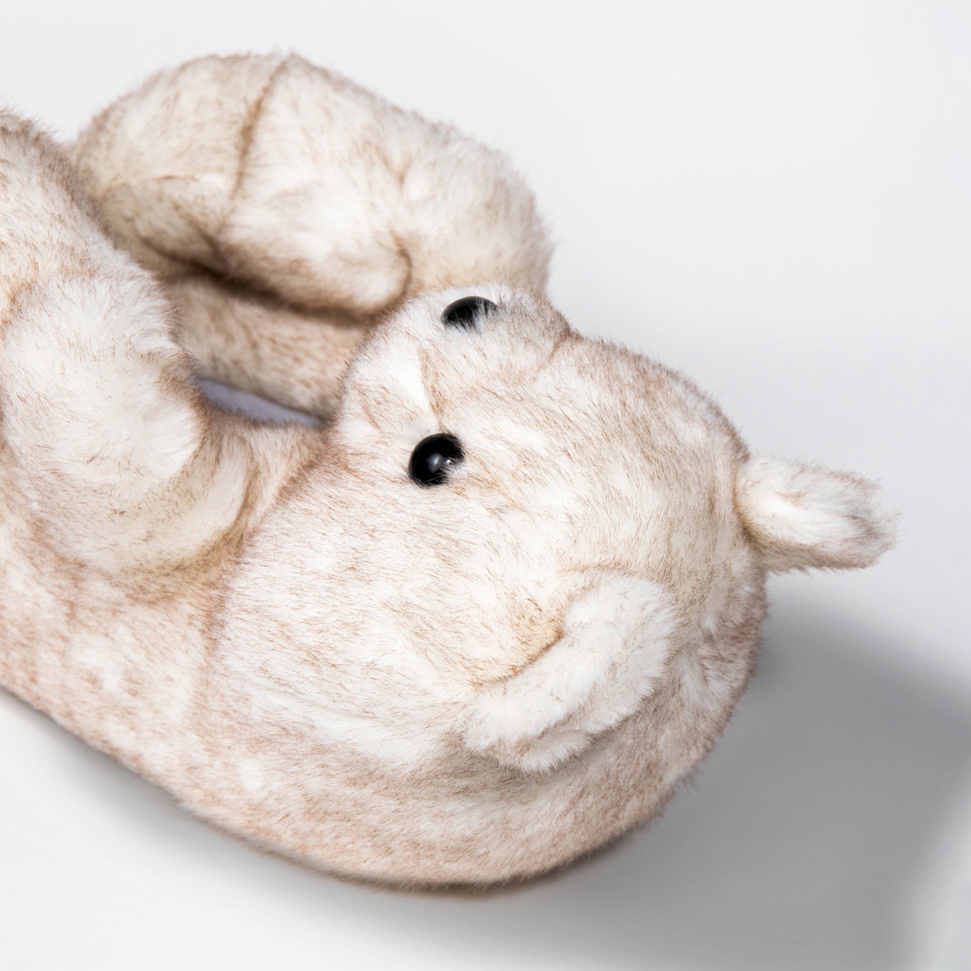 Ashy Arctic Teddy